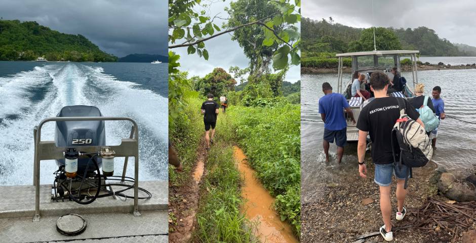 farma kava kava na fidzi kratomworld
