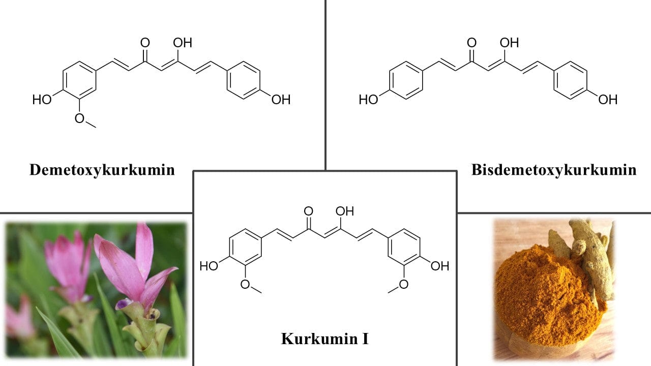 kurkuma koláž kratomworld clanek